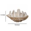 Medium Clam Shell Accent, White