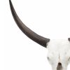 Wild & Beautiful Cow Skull, Resin