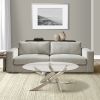 Oval Shape Glass Top Coffee Table with Criss Cross Base, Silver and Clear