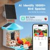 Smart Bird Feeder with Camera, 2K HD AI Identify 10000+ Bird Species, Solar-Powered Bird Watching Camera with Auto Capture & Instant Notify